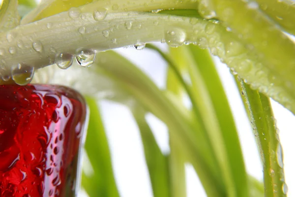 Gotas de agua brillante rociadas sobre la superficie roja texturizada . — Foto de Stock