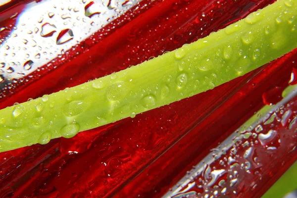 Glänzende Wassertropfen auf strukturierte rote Oberfläche gesprüht. — Stockfoto