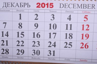 basit Avrupa 2015 yılı takvimi