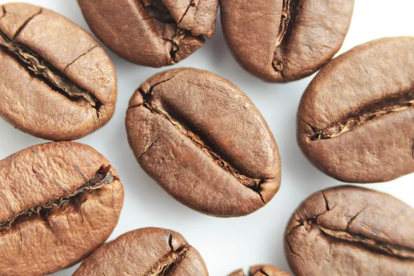 One hundred dollar bill made of coffee beans isolated over white background — Stock fotografie