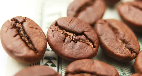 Ein-Dollar-Schein aus Kaffeebohnen isoliert über weißem Hintergrund — Stockfoto