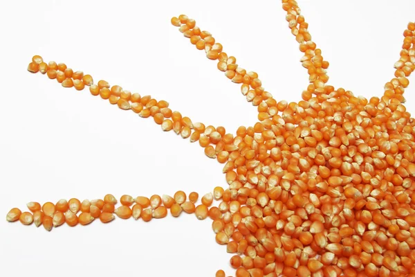 Beyaz arkaplanda karabuğday izole