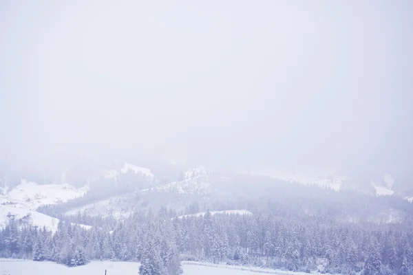 Montagne carpatiche innevate nebbia mattina d'inverno. Ucraina — Foto Stock