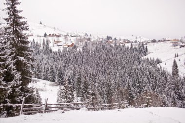 Kışın dağ köyü. Karpatlar. Ukrayna