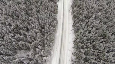 Kırsal Karpatya Dağları 'nda Karla kaplı yolun hava görüntüsü