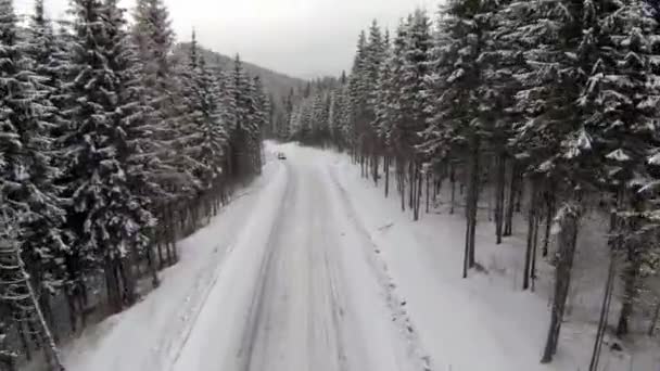 Luchtfoto van de besneeuwde weg in het Karpaten gebergte — Stockvideo