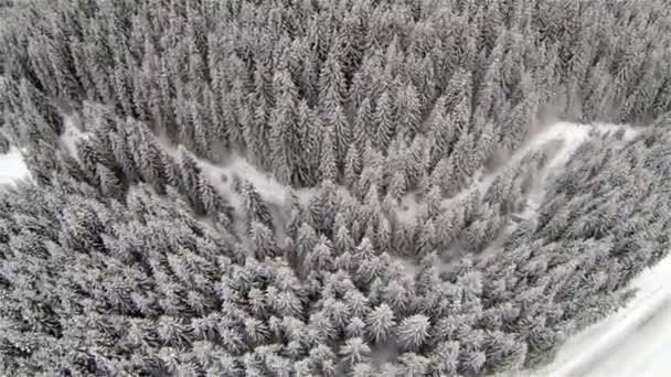 Luchtfoto van de besneeuwde weg in het Karpaten gebergte — Stockvideo