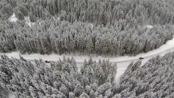 Luchtfoto van de besneeuwde weg in het Karpaten gebergte — Stockvideo