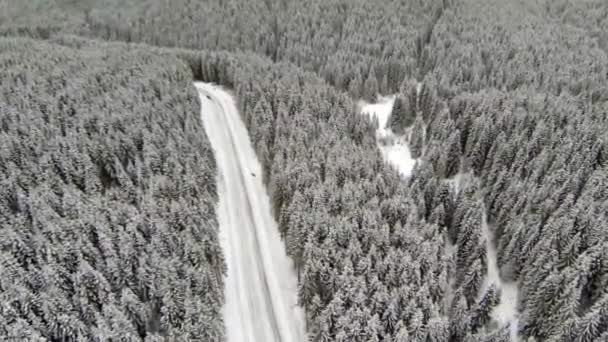 Tiro aéreo da estrada coberta de neve nas montanhas dos Cárpatos do campo — Vídeo de Stock