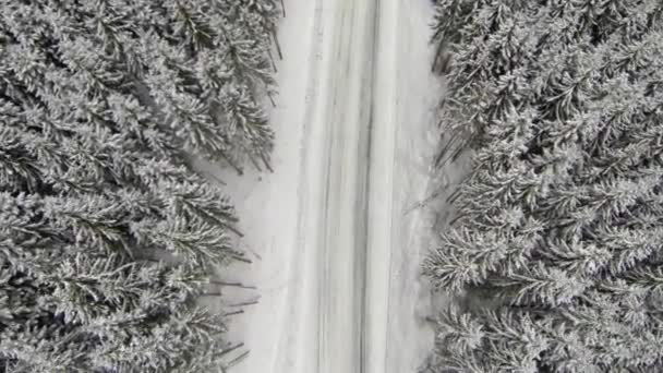 田舎のカルパチア山脈の雪で覆われた道路の空中ショット — ストック動画