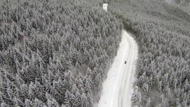 Tiro aéreo da estrada coberta de neve nas montanhas dos Cárpatos do campo — Vídeo de Stock