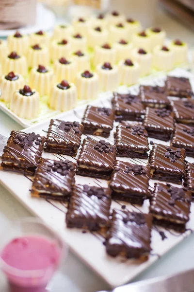 Bolos de chocolate e mousse em bandejas — Fotografia de Stock