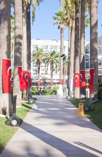 Passeggiata sul posto con le bandiere della Turchia sulle palme — Foto Stock