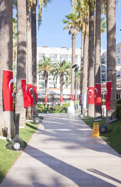 Çekme Makinası ile Türkiye bayrakları palms üzerinde yürümek