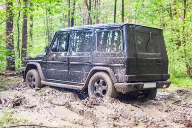 SUV ormanda, off-road çamur içinde sıkıştı