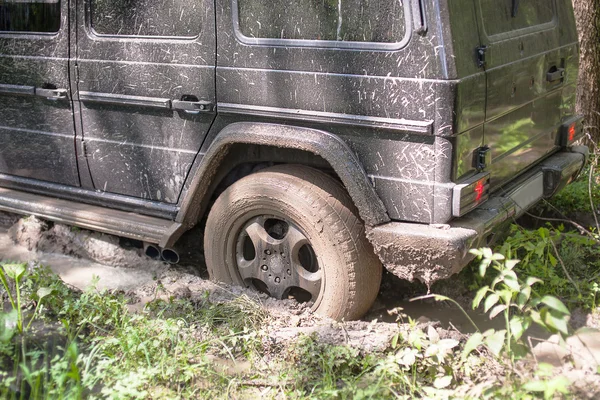 SUV got stuck in the mud in the forest, off-road — Stock Photo, Image