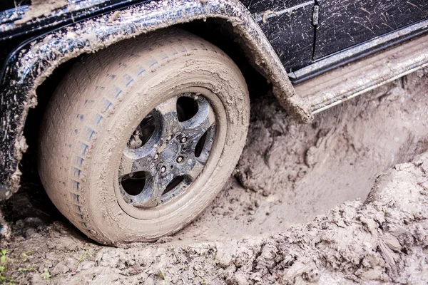 SUV ormanda, off-road çamur içinde sıkıştı