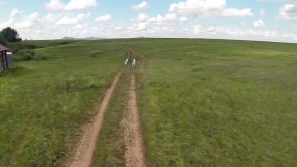 Luchtfoto van in de steppe met weg van Kazachstan — Stockvideo