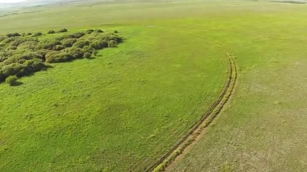 Пташиного польоту у степу з дороги Казахстану — стокове відео