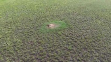 Dağ sıçanı hava görünümünü orta diğer steppee burrows