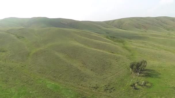 Letecký pohled na kopci s trávou — Stock video