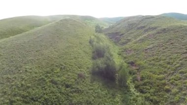 Tepelerin yeşil çim ile havadan görünümü