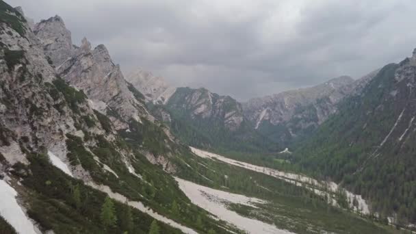 森林と泥流のあるアルプスの山々の空中写真 — ストック動画