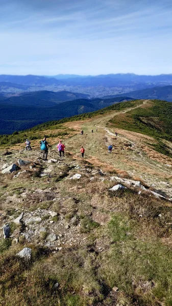 Turistler, Ukrayna 'nın Hoverla Dağı' ndaki dağdan aşağı iniyor..