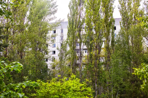 Tsjernobyl Verlaten Huis Het Groene Bos — Stockfoto