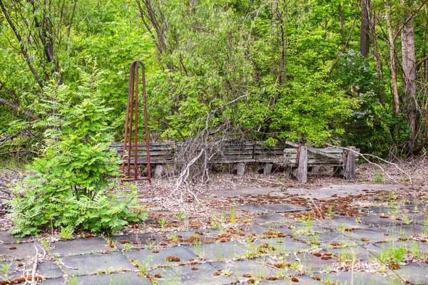 Vecchie Panchine Nel Parco Ricoperte Alberi Nella Zona Esclusione Chernobyl — Foto Stock