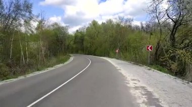 Yaz boyunca asfalt yol, ağaçlı yeşil orman