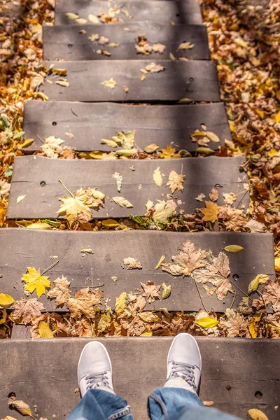 Legs in shoes — Stock Photo, Image