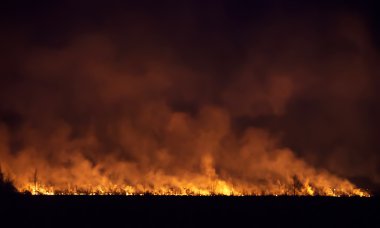 Gece yangın bir alanda