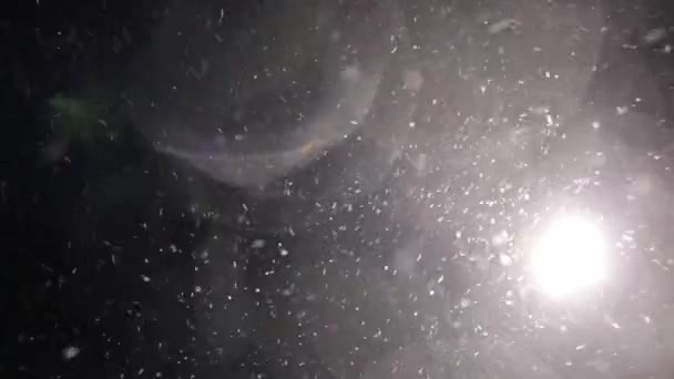 飘落的雪花，在黑色的背景 — 图库视频影像