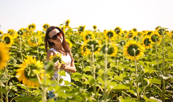 Girl in sunflowers — Stock Photo, Image