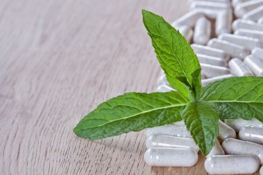 Kapsül ve ince dal nane