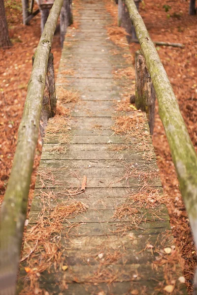 Wooden footbridge from autumn river — Stock Photo, Image