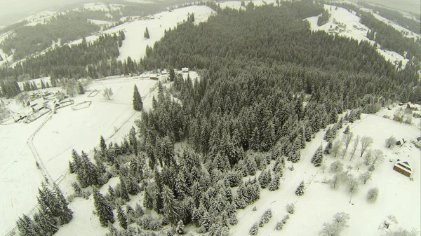 冬天的 Karpatian 山鸟瞰图 — 图库照片