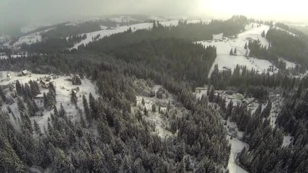 Foto aérea de bosque de coníferas en las montañas Cárpatos, invierno — Vídeo de stock