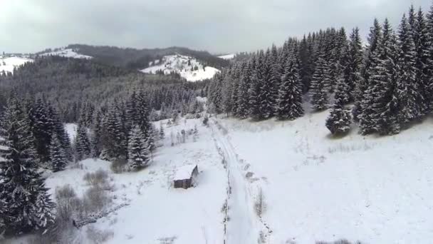 Tiro aéreo da estrada coberta de neve nas montanhas dos Cárpatos do campo — Vídeo de Stock