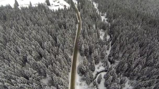 Luftaufnahme einer schneebedeckten Straße in den ländlichen Karpaten — Stockvideo