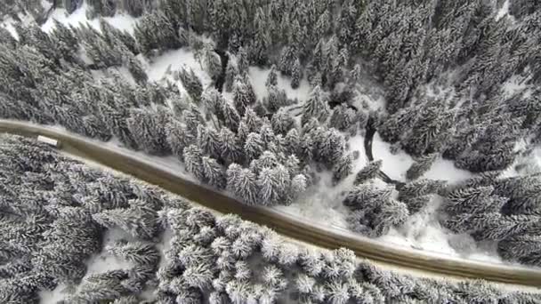 Kırsal Karpatya Dağları 'nda Karla kaplı yolun hava görüntüsü — Stok video