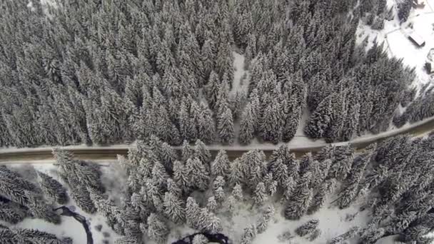 Luftaufnahme einer schneebedeckten Straße in den ländlichen Karpaten — Stockvideo