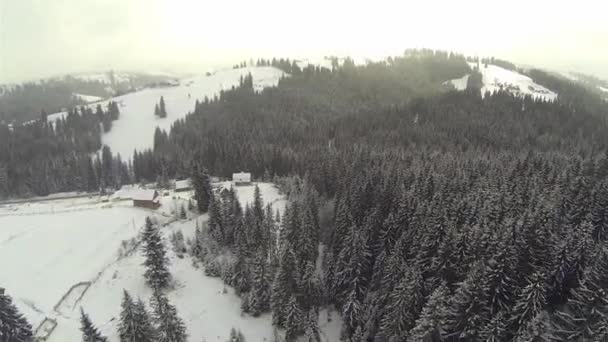 Tiro aéreo de floresta conífera nas montanhas dos Cárpatos, inverno — Vídeo de Stock