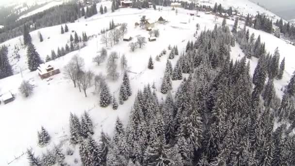 Karpat Dağları kış zamanında köyde hava atış — Stok video