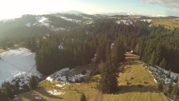 Foto aérea de bosque de coníferas en las montañas Cárpatos, primavera — Vídeos de Stock