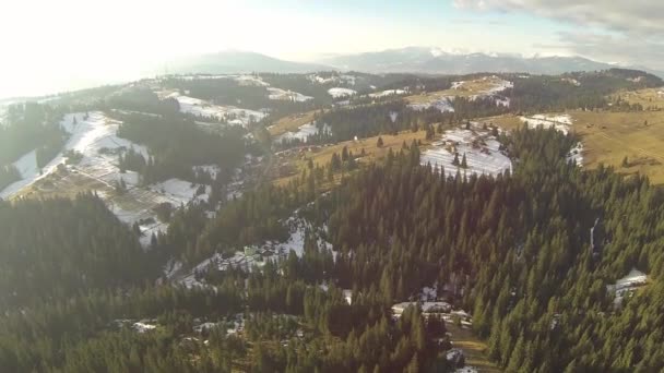 Foto aérea de bosque de coníferas en las montañas Cárpatos, primavera — Vídeos de Stock