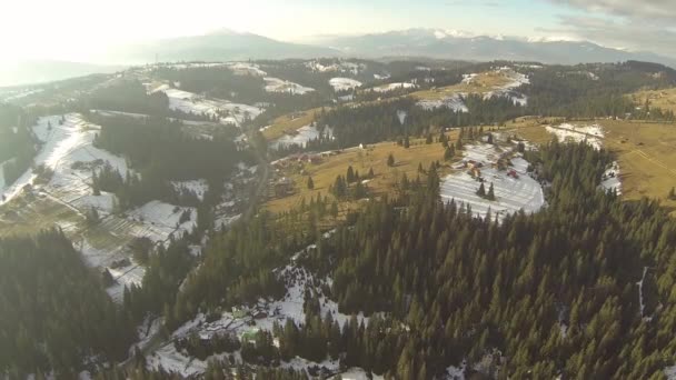 空中射击的喀尔巴阡山区针叶林春 — 图库视频影像