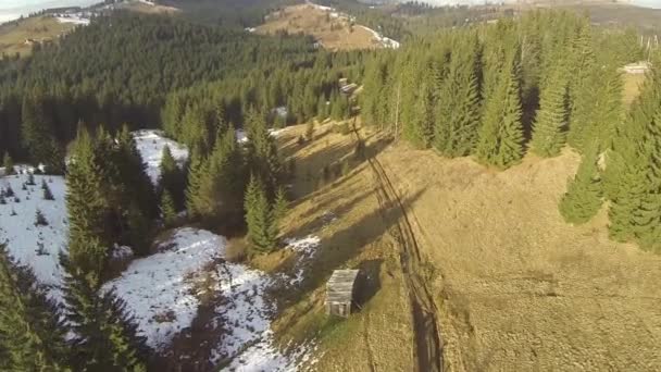 Foto aerea di strada nella foresta, montagne dei Carpazi, primavera — Video Stock