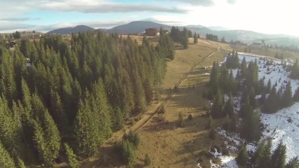 Luchtfoto van de weg in het bos, Karpaten, voorjaar — Stockvideo